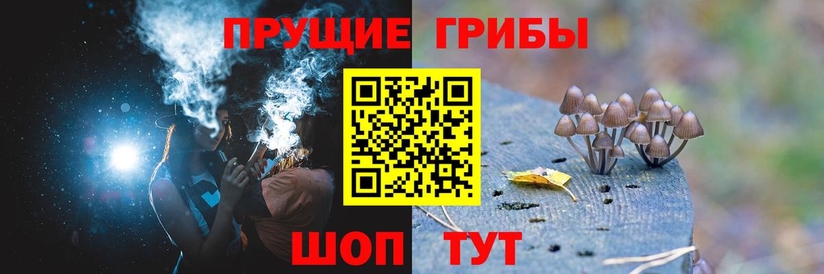 Галлюциногенные грибы Cubensis  Вход с VPN  Галлюциногенные грибы Magic Shrooms  Елизово 